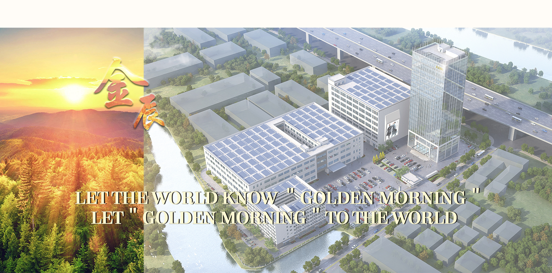 Jiangsu Altın Sabah Örme Co, Ltd.